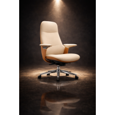 HECTOR 1  Premium High Back 